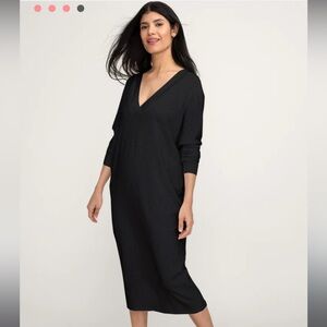 NWOT Hatch Visitor Dress